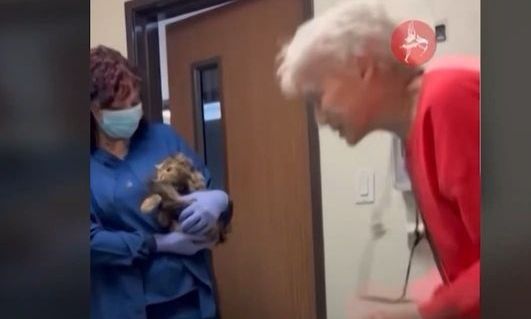 ΗΠΑ: Η συγκινητική στιγμή που 82χρονη σμίγει με την γάτα της μετά τις φωτιές στο Λος Άντζελες