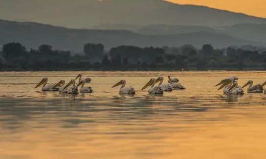Βόλτα στα γραφικά Κάτω Πορόια - Λίγο έξω από τις Σέρρες βρίσκεται ένα χωριό ζωντανή ζωγραφιά