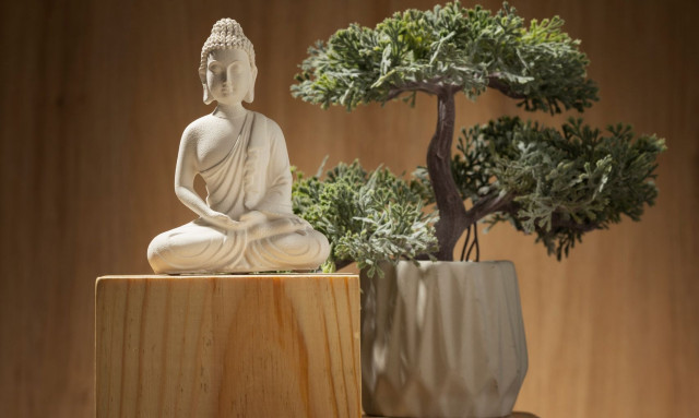 Ιαπωνία: «Μάστιγα» οι κλοπές μπονσάι - Αυξάνεται η παγκόσμια φήμη τους και αξία