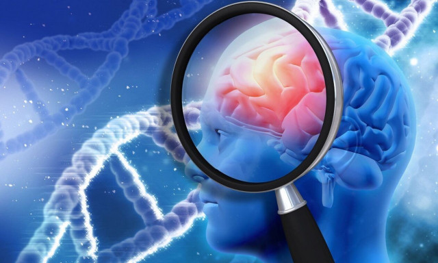 «Ιππόκαμπος»: Αποκαλύφθηκαν νέες πληροφορίες για τη μυστηριώδη περιοχή του εγκεφάλου