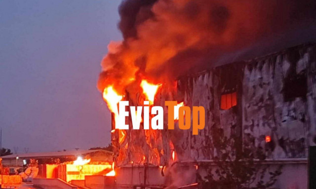 Φωτιά τώρα σε εργοστάσιο στη Ριτσώνα - Εστάλη 112 στους κατοίκους