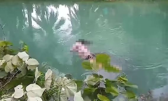 Ινδονησία: Η τρομακτική στιγμή που κροκόδειλος βγαίνει από το νερό με μια νεκρή γυναίκα στο στόμα