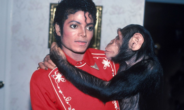 Ο Bubbles, ο χιμπατζής του Μάικλ Τζάκσον, έκλεισε τα 42 έτη - Μένει στην Φλόριντα των ΗΠΑ