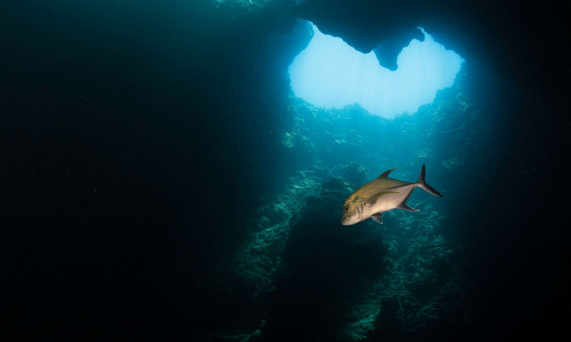 «Σκοτεινό οξυγόνο»: Mια ανακάλυψη στα βάθη των ωκεανών που έχει διχάσει τους επιστήμονες