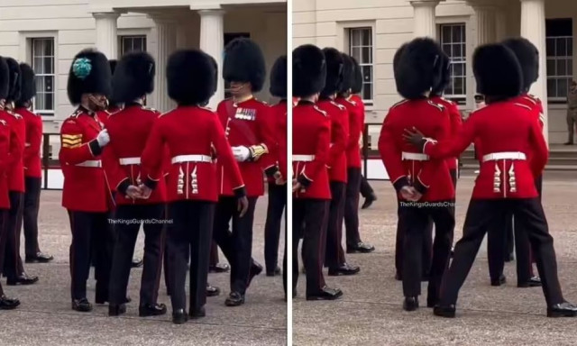 Ηνωμένο Βασίλειο: Μέλος της Ιρλανδικής Φρουράς σχεδόν λιποθύμησε εν ώρα υπηρεσίας - Δείτε βίντεο