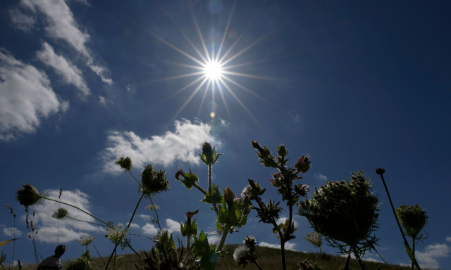 Όλη η ζωή στη Γη προέρχεται από έναν και μοναδικό πρόγονο - Είναι πολύ παλαιότερος απ' ό,τι νομίζαμε