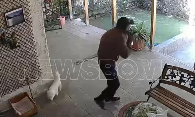 Μενίδι: Βίντεο-ντοκουμέντο με άνδρα να κλέβει σκύλο από αυλή – Τι λέει ο ιδιοκτήτης στο Newsbomb