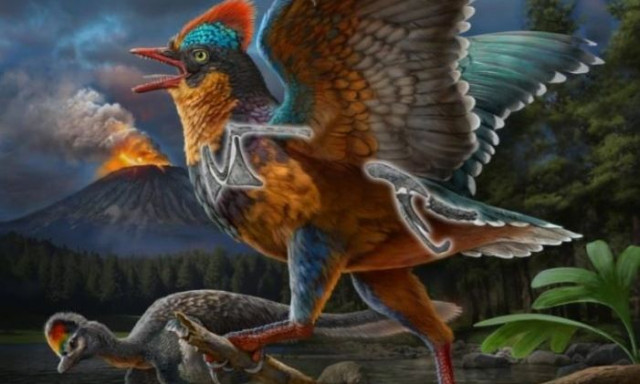 Επιστήμονες ανακάλυψαν ένα από το αρχαιότερα πτηνά όλων των εποχών - Η εικόνα του συγκλονίζει