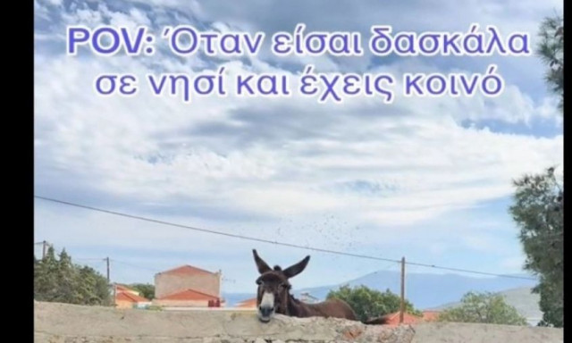 Μοναδική στιγμή σε σχολείο: Γάιδαρος απολαμβάνει το τραγούδι των μαθητών