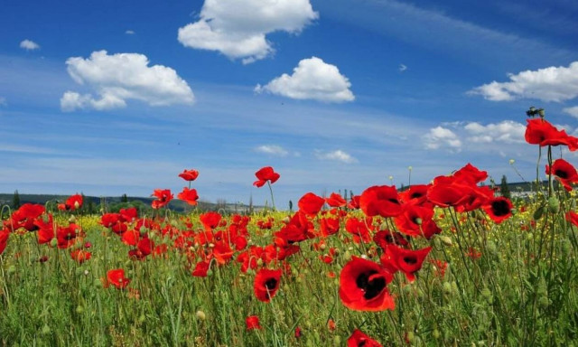 Καιρός: «Κλείδωσε» η 25η Μαρτίου - Πότε έρχεται η βορειοαφρικανική θερμή εισβολή