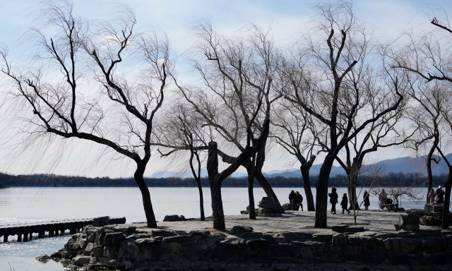 Απίστευτο: Μετρούν τα δέντρα στην Κίνα για να φτιάξουν το «Μεγάλο Πράσινο Τείχος» 