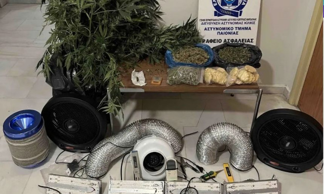 Θεσσαλονίκη: Έφτιαξε φυτεία κάνναβης στο... υπνοδωμάτιο, με δενδρύλλια έως και 1 μέτρο