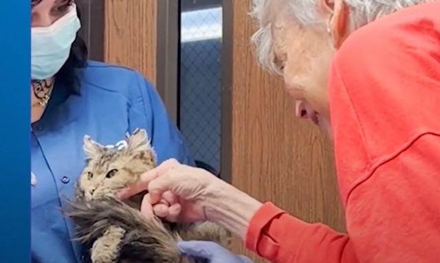 ΗΠΑ: Η στιγμή που 82χρονη ξανασμίγει με την γάτα της δύο μήνες μετά τις πυρκαγιές στο Λος Άντζελες