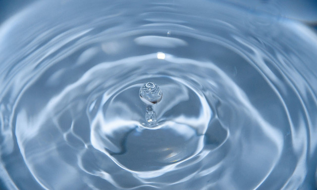 Το νερό ως δομικό και ρυθμιστικό συστατικό των θαλάσσιων οικοσυστημάτων