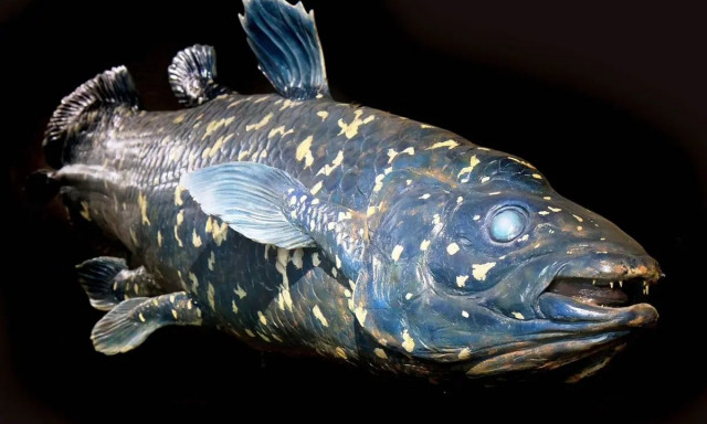 Απροσδόκητο εύρημα: Το αρχαιότερο ψάρι εξαφανισμένο για πάνω από 70 εκατ. χρόνια εμφανίστηκε