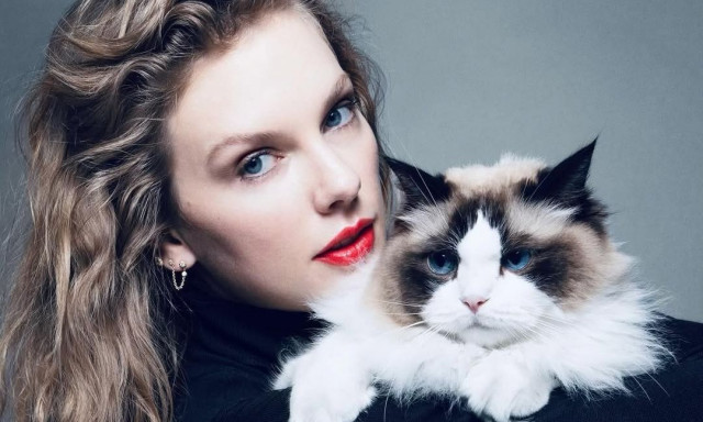Οι γάτες της Taylor Swift: Αυτά είναι τα πιο διάσημα κατοικίδια της μουσικής βιομηχανίας