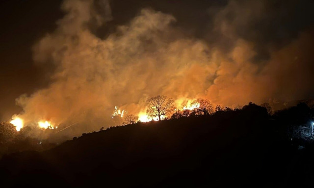 Φωτιά στην Εύβοια: Πυρκαγιά σε δασική έκταση στους Καλλιανούς Καρύστου