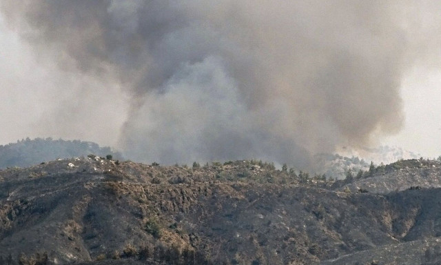 Φωτιά στην Εύβοια: Σε ύφεση το μέτωπο στους Καλλιανούς Καρύστου