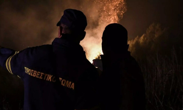 Δασική πυρκαγιά στο Βελανίδι Ηλείας - Μεγάλη κινητοποίηση της Πυροσβεστικής