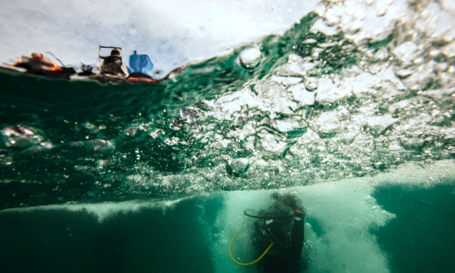 Ο αληθινός βασιλιάς των θαλασσών: Το μεγαλύτερο ζωντανό ον στον ωκεανό, ηλικίας 300 ετών