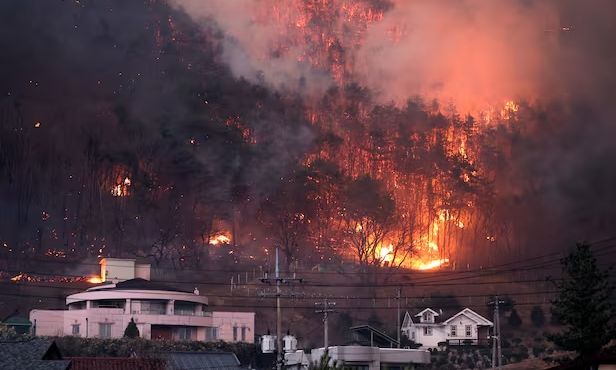 Κόλαση πυρκαγιών στη Νότια Κορέα: Εκκενώνονται περιοχές - Απειλούνται ιστορικοί ναοί