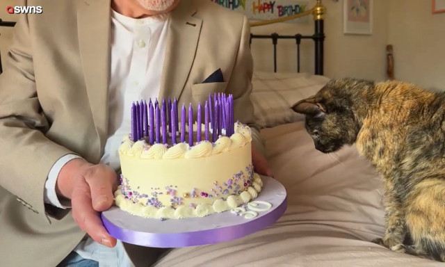 Άνδρας γιορτάζει τα 30ά γενέθλια της γάτας του με μια μεγαλειώδη τούρτα με το πρόσωπό της