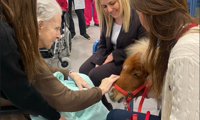 Θεσσαλονίκη: Θεραπευτικές επισκέψεις αλόγων σε δομές για παιδιά, άτομα με αναπηρία και ηλικιωμένους