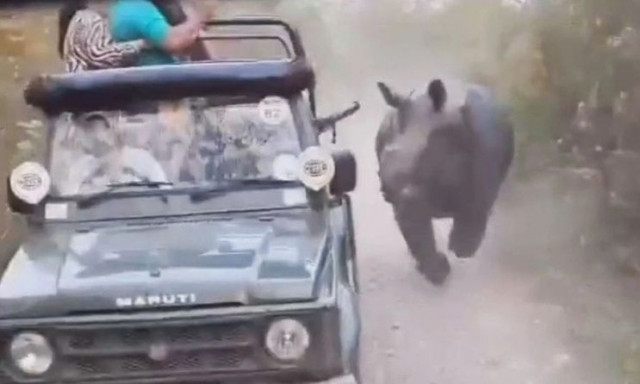 Τα «χρειάστηκαν» τουρίστες σε σαφάρι: Η στιγμή που έξαλλος ρινόκερος τους παίρνει στο κυνήγι