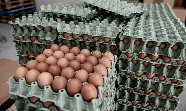 Ο «Βασιλιάς των Αυγών» επενδύει δισεκατομμύρια στις ΗΠΑ: Η γρίπη των πτηνών εκτοξεύει τις τιμές