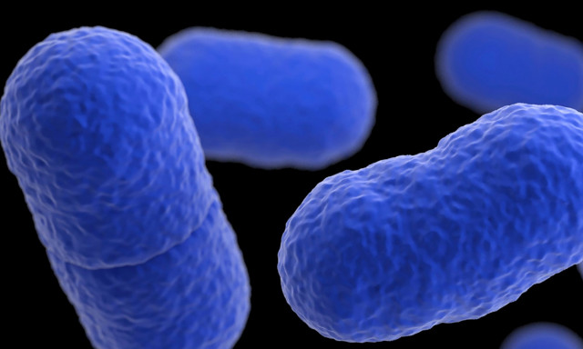 Νέο αντιβιοτικό σκοτώνει ανθεκτικά βακτήρια - Ελπίδες για τη μάχη κατά της μικροβιακής αντοχής