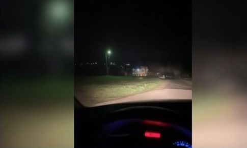 Θεσσαλονίκη: Εμφάνιση λύκων στα Κουφάλια προκαλεί ανησυχία στους κατοίκους