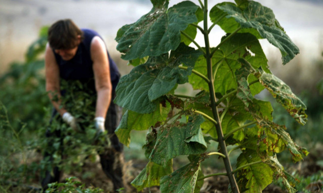 Τσιάρας: «Επενδύουμε σε καινοτομία και τεχνολογία με επιπλέον 900 εκατ. ευρώ»