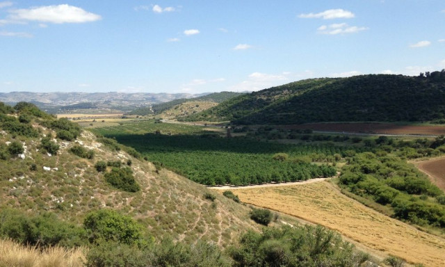 Τρίχρονη βρίσκει τη σφραγίδα της Χαναάν στον τόπο της θρυλικής μάχης Δαβίδ και Γολιάθ