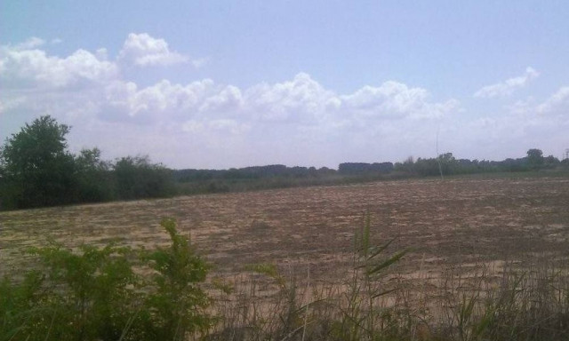 Υποχρεωτικός ο καθαρισμός των οικοπέδων μέχρι την 30η Απριλίου - Αναλυτικά τι ισχύει