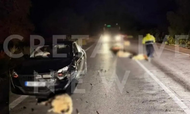 Ρέθυμνο: Συνελήφθη βοσκός για πρόκληση τροχαίου- Είχε αφήσει ανεπιτήρητα τα πρόβατα