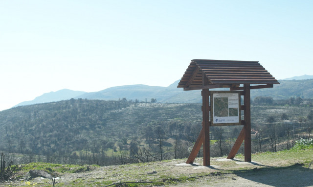 Αποκατάσταση και Ελπίδα: Τιμητική Αναγνώριση στην HELLENiQ ENERGY