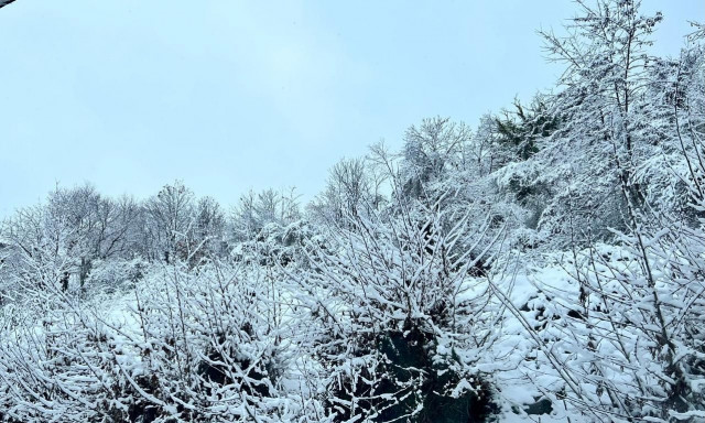 Snow fell in areas near the city of Thessaloniki; schools closed