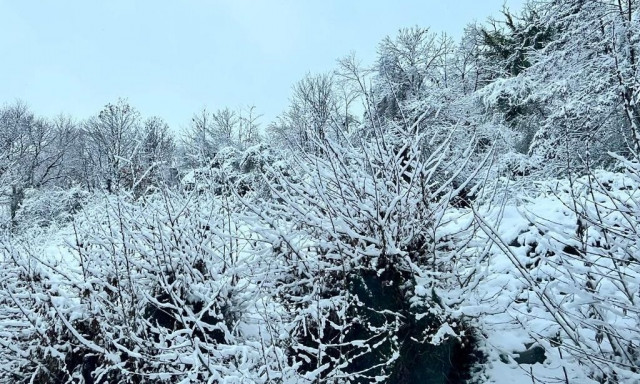 Στους -8 βαθμούς σήμερα το Σέλι Ημαθίας - Οι οκτώ χαμηλότερες θερμοκρασίες που καταγράφηκαν