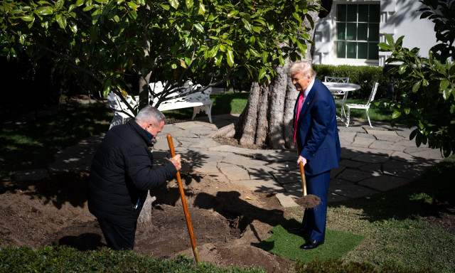 Ο Τραμπ αντικατέστησε την ιστορική μανόλια του Λευκού Οίκου – Την είχε φυτέψει ο Άντριου Τζάκσον