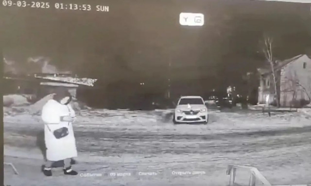 Ρωσία: Αρκούδα κατασπάραξε γυναίκα - Έμεινε μόνο το κεφάλι, στοιχειώνουν οι τελευταίες στιγμές της