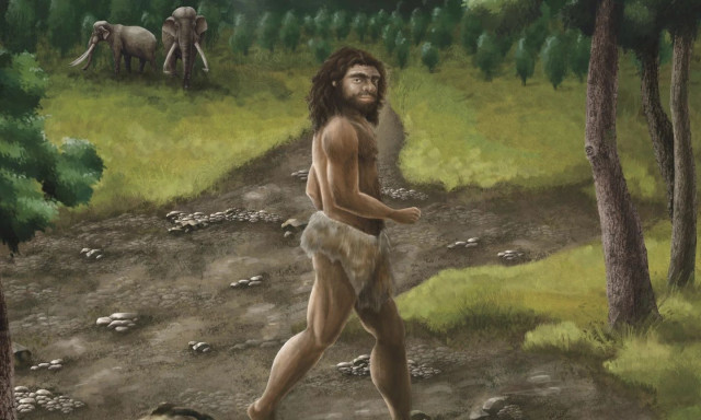 Ποια είναι η μυστηριώδης φυλή Ντενίσοβαν - Τι αποκάλυψε κομμάτι απολιθωμένης γνάθου