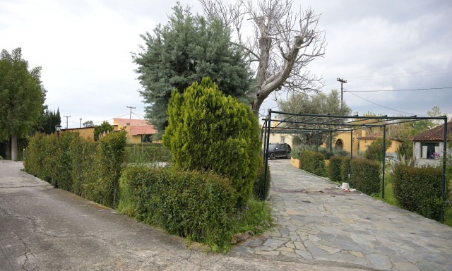 Έγκλημα στην Εύβοια: Το μίνι «οπλοστάσιο» που έκρυβε στο σπίτι του ο 75χρονος δράστης και αυτόχειρας