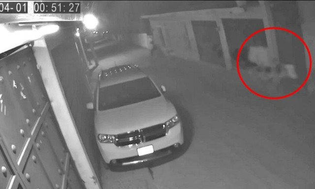 Μεξικό: Απόκοσμα πλάνα του «ακέφαλου καβαλάρη»- Καλπάζει σε δρόμο με το άλογο