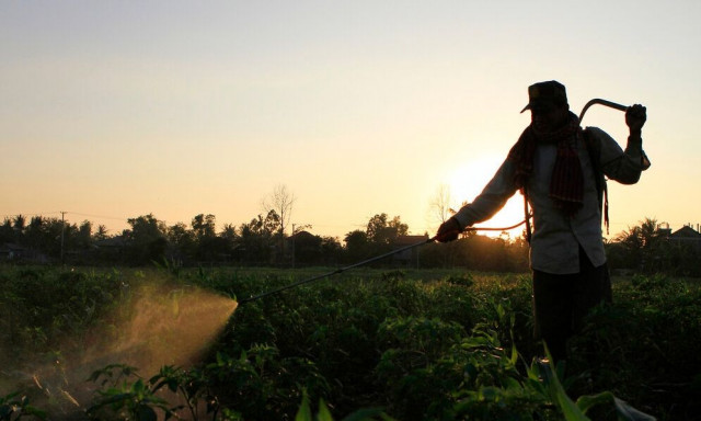 «Τοξικό κοκτέιλ»: Μελέτη εντόπισε 200 φυτοφάρμακα σε ευρωπαϊκά σπίτια