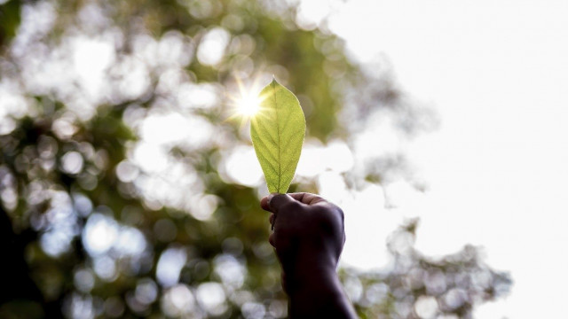 HELLENiQ ENERGY: Μηδενικό ανθρακικό αποτύπωμα έως το 2050 – Δράση τώρα για το κλίμα