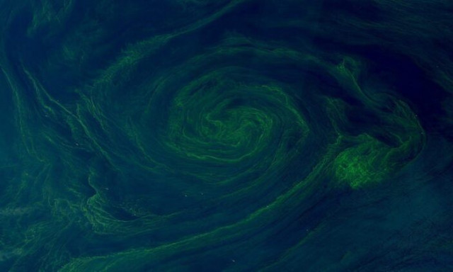 Οι ωκεανοί της Γης πρασινίζουν - Είναι ενδεικτικό ενός παράξενου, ανησυχητικού φαινομένου