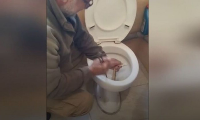 Βρήκαν φίδι σε τουαλέτα κτιρίου στο Άργος Ορεστικό