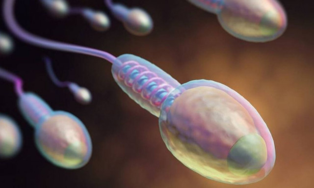 Ο πιο… μικροσκοπικός αγώνας της χρονιάς με έπαθλο 1 εκατομμύριο δολάρια