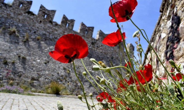 Ο Καιρός μέχρι την Κυριακή του Πάσχα: Αφρικανική σκόνη, μποφόρ και... τριαντάρια