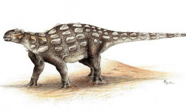 Καναδάς: Αποτυπώματα αποκαλύπτουν ένα νέο είδος δεινοσαύρου